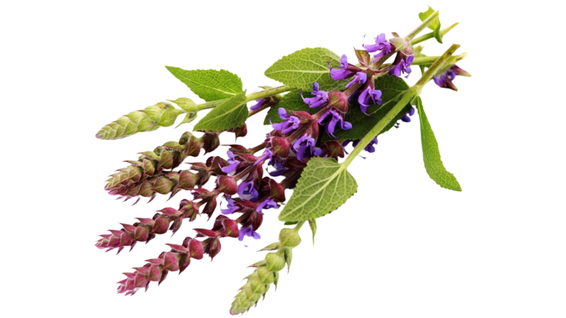 Producto natural
