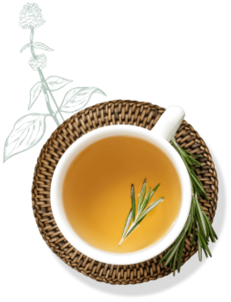 Taza de infusión Raíces del Inka